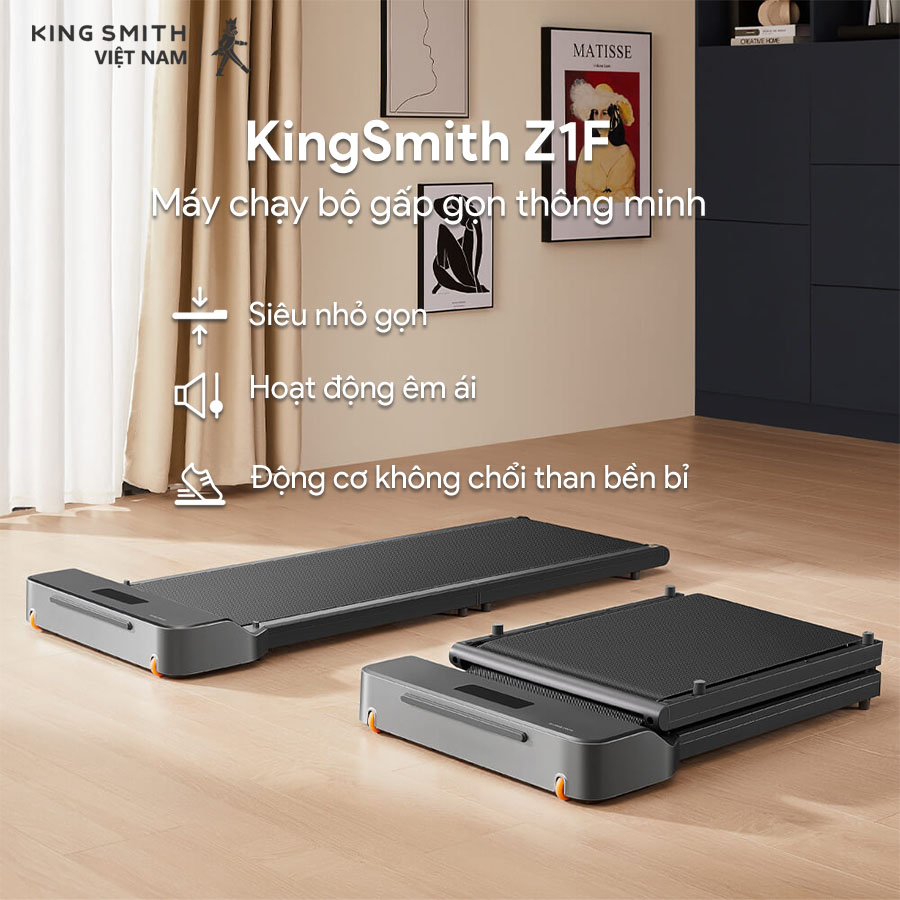 KingSmith Z1F