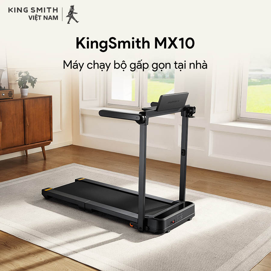 KingSmith MX10